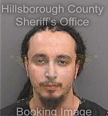 Gonzalez Jose - Hillsborough County, FL 