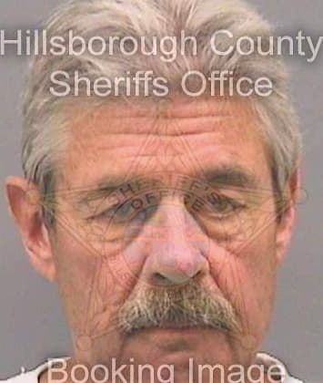 Borellini Gerold - Hillsborough County, FL 