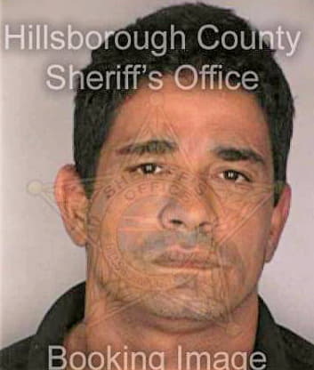 Diaz Jose - Hillsborough County, FL 