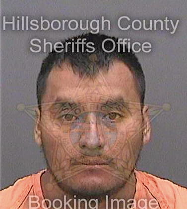 Martinezantonio Jose - Hillsborough County, FL 