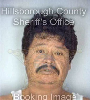 Perez Juan - Hillsborough County, FL 