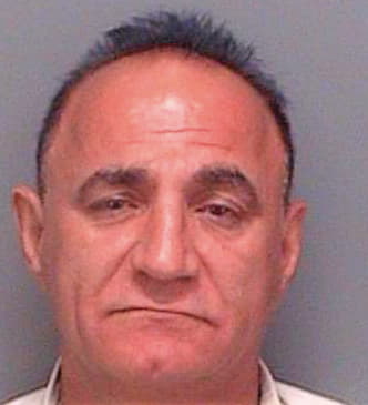 Mikhael Salim - Pinellas County, FL 