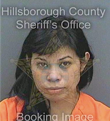 Chavezmunoz Silvia - Hillsborough County, FL 