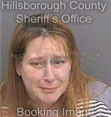 Bowmer Beth - Hillsborough County, FL 