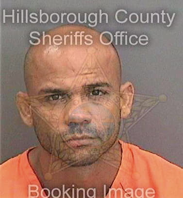 Duran Osmiel - Hillsborough County, FL 