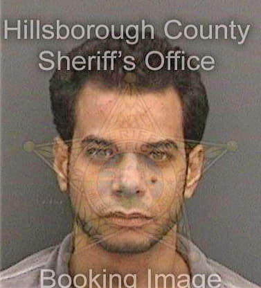 Gonzalez Victor - Hillsborough County, FL 