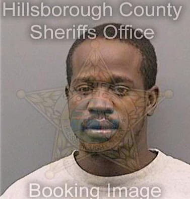 Simmons Brian - Hillsborough County, FL 