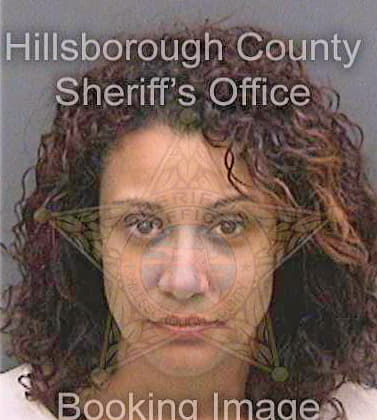 Sosa Michelle - Hillsborough County, FL 