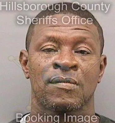 Mcintyre William - Hillsborough County, FL 