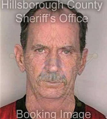 Simpson William - Hillsborough County, FL 