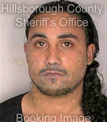 Dejesus Alfonso - Hillsborough County, FL 