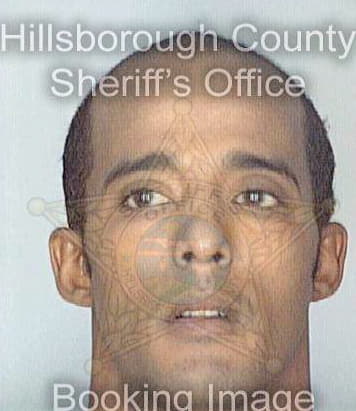 Lugo Miguel - Hillsborough County, FL 