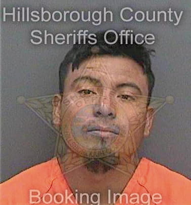 Ramosreynoso Mario - Hillsborough County, FL 