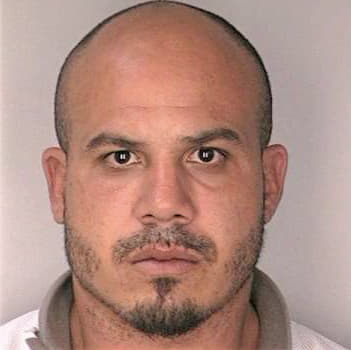 Tirado Renaldo - Hillsborough County, FL 