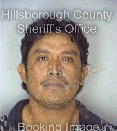 Centeno Abel - Hillsborough County, FL 