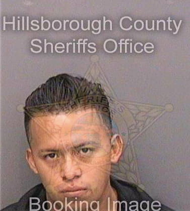 Mateobartolome Donald - Hillsborough County, FL 