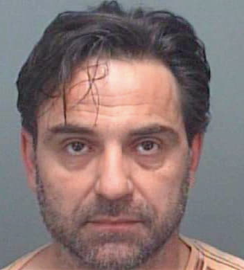 Todorov Lubomir - Pinellas County, FL 