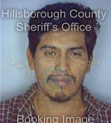 Frias Jorge - Hillsborough County, FL 