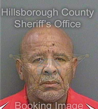 Stevens Bruce - Hillsborough County, FL 