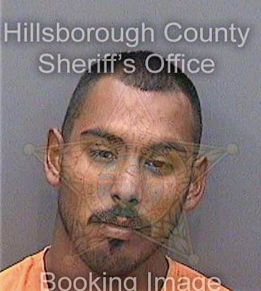 Sanchez Alfredo - Hillsborough County, FL 