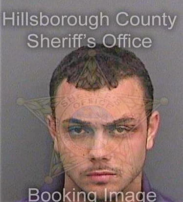 Hall John - Hillsborough County, FL 