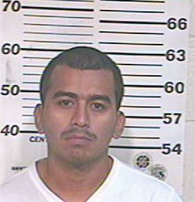 Nino Daniel - Hidalgo County, TX 