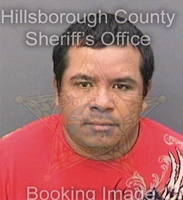 Martinezgomez Rogelio - Hillsborough County, FL 