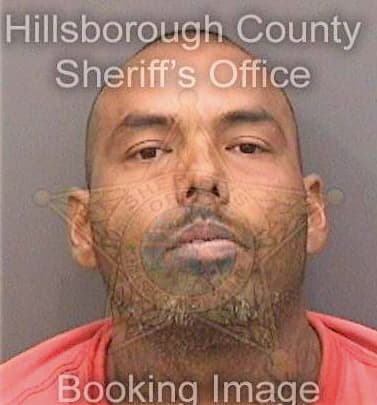Medina Narciso - Hillsborough County, FL 
