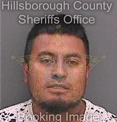 Tehuintlecalihua Rigoberto - Hillsborough County, FL 