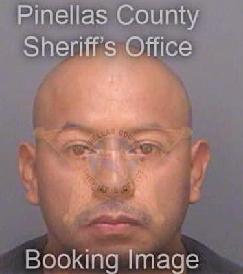 Lezama Mario - Pinellas County, FL 