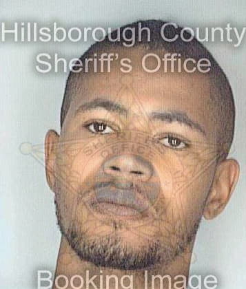 Ballenger Rashidi - Hillsborough County, FL 