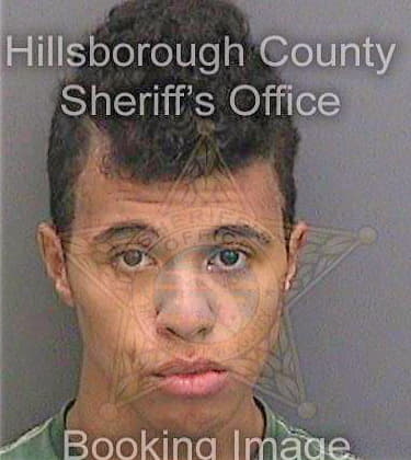 Byrd Jaryd - Hillsborough County, FL 