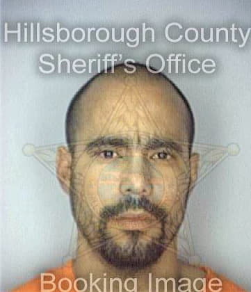 Deleon Eliu - Hillsborough County, FL 