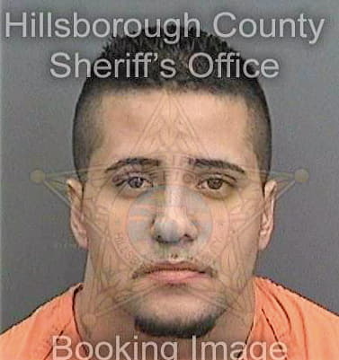 Perezgonzalez Andy - Hillsborough County, FL 