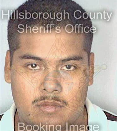 Lopez Daniel - Hillsborough County, FL 