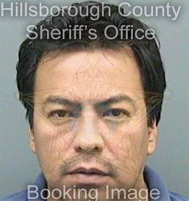 Mejia Valente - Hillsborough County, FL 