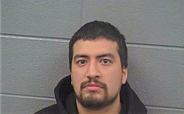 Diaz Everardo - Cook County, IL 