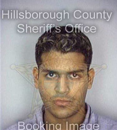 Samaroo Vijay - Hillsborough County, FL 