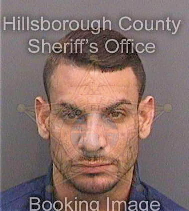 Cancelmontes Alejandro - Hillsborough County, FL 