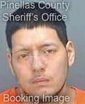 Velasquez Mario - Pinellas County, FL 