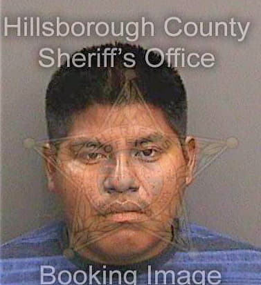 Reyescruz Juan - Hillsborough County, FL 