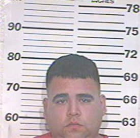 Gonzalez Christopher - Hidalgo County, TX 