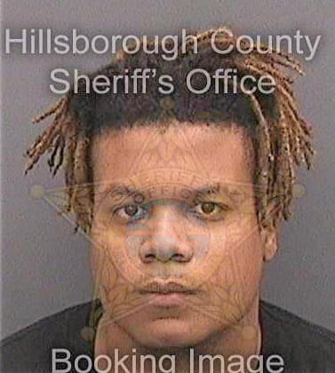 Brim Michael - Hillsborough County, FL 