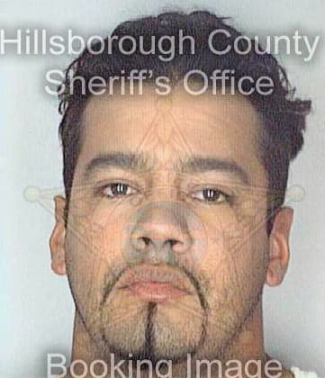 Cuevas Daniel - Hillsborough County, FL 