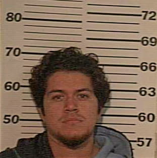 Martinez Daniel - Hidalgo County, TX 