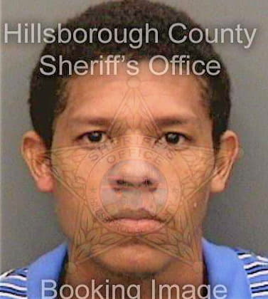 Diaz Bolivar - Hillsborough County, FL 