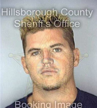 Reinhold Carlos - Hillsborough County, FL 