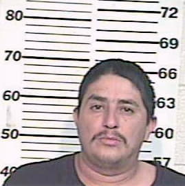 Arevalo Michael - Hidalgo County, TX 