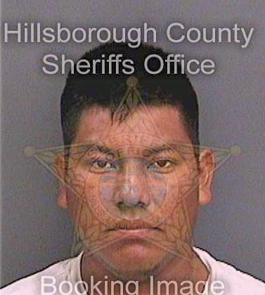 Velasquezrodriguez Dagoberto - Hillsborough County, FL 