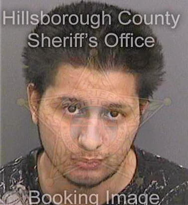 Bohorquezcondo Diego - Hillsborough County, FL 